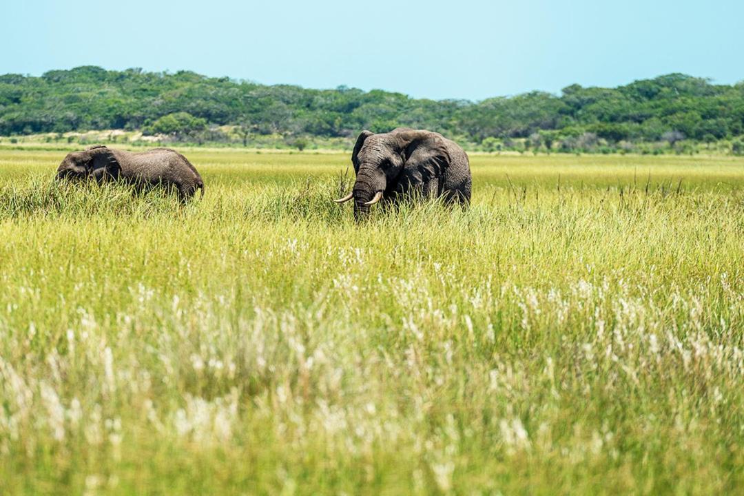 Montebelo Milibangalala Bay Resort マプト エクステリア 写真